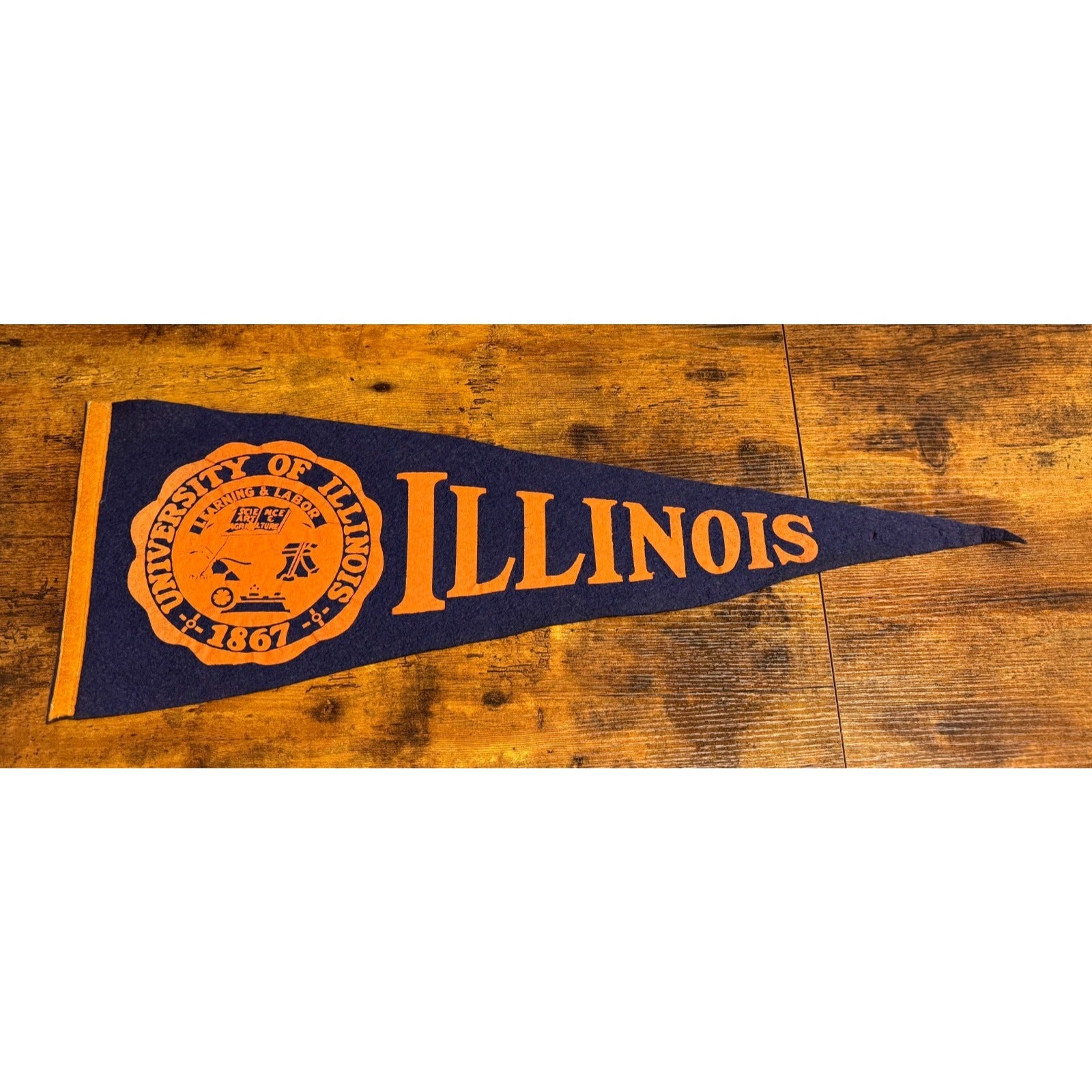 Vintage University of Illinois pennant