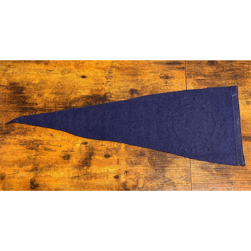 Vintage University of Illinois pennant