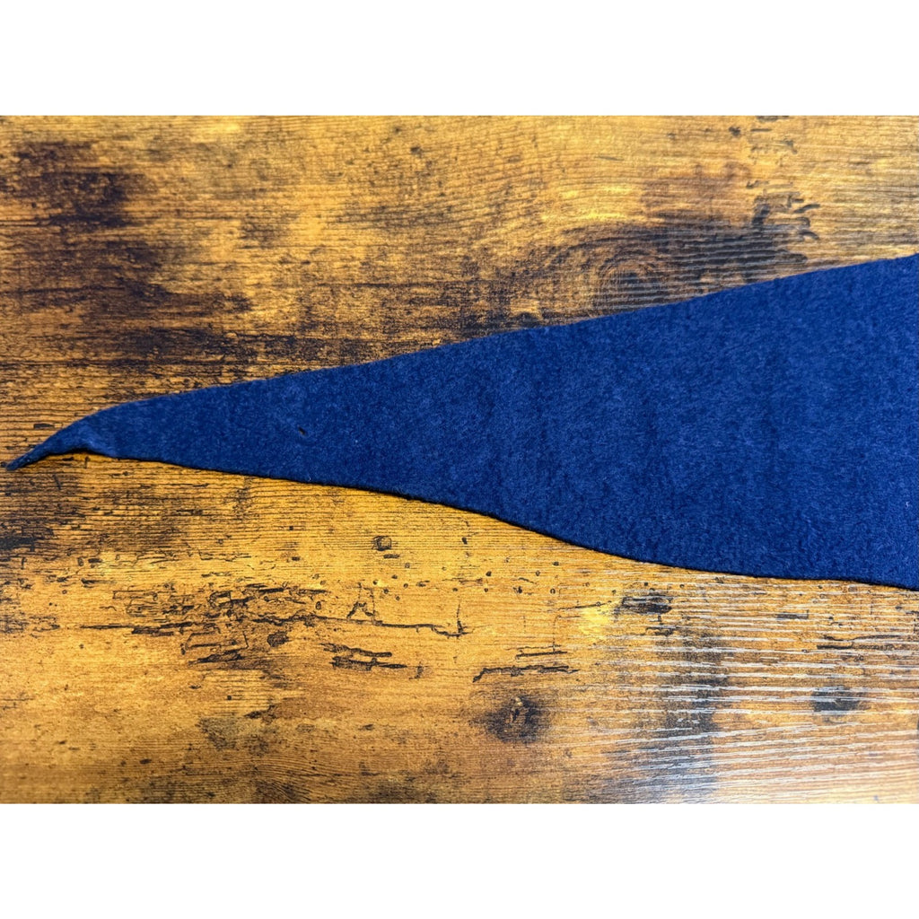 Vintage University of Illinois pennant
