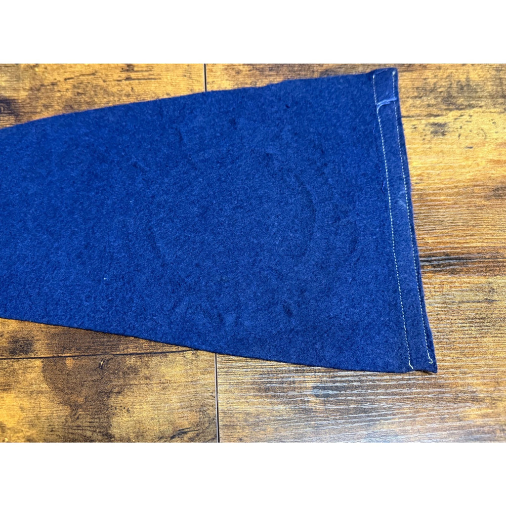 Vintage University of Illinois pennant