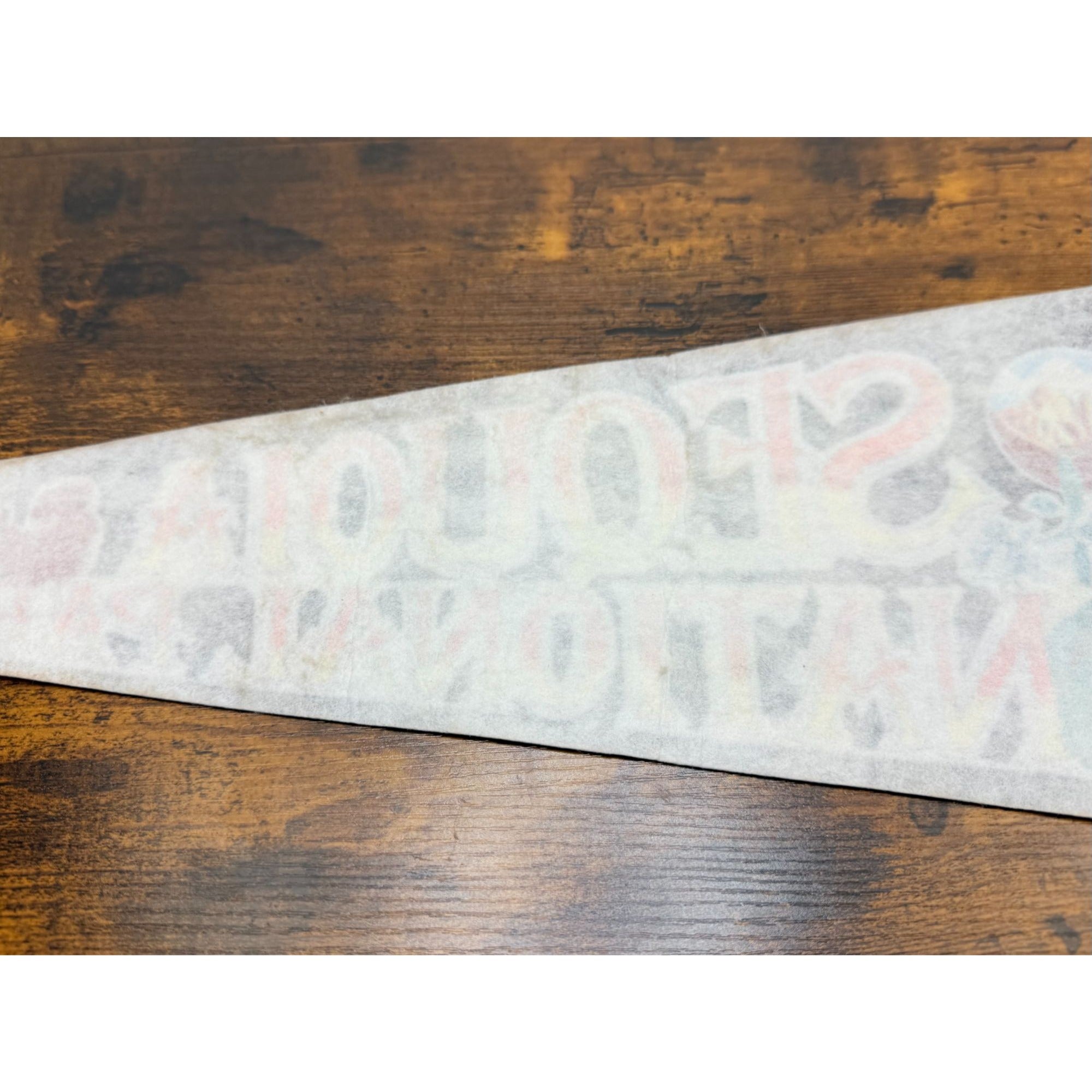 Sequoia National Park Vintage Felt Pennant California Souvenir Made In USA