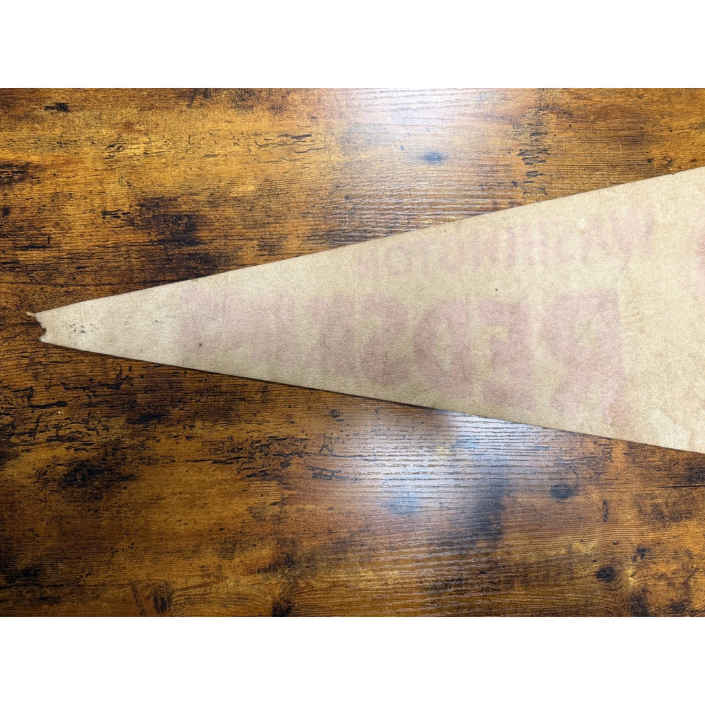 Vintage NFL Washington Redskins pennant