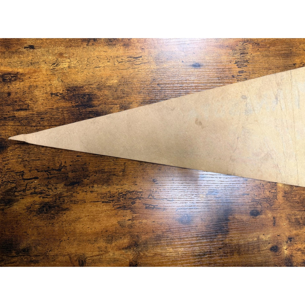 Vintage MLB Minnesota Twins pennant