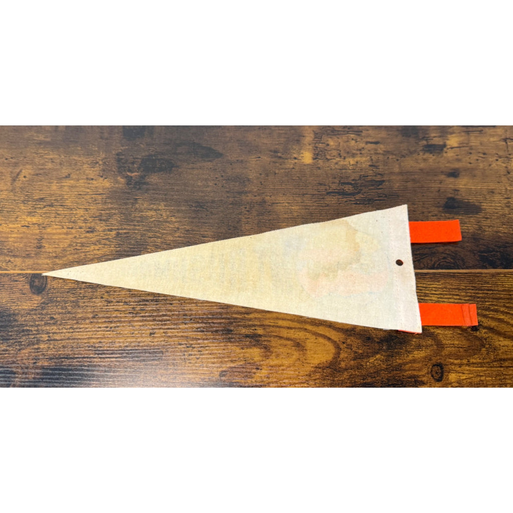 Vintage Mt. Rushmore mini pennant featuring Black Hills, South Dakota