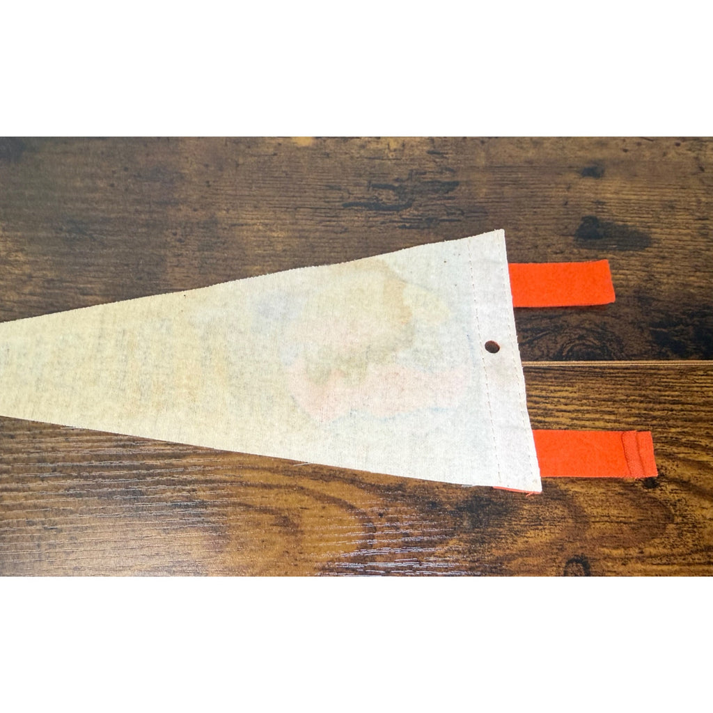 Vintage Mt. Rushmore mini pennant featuring Black Hills, South Dakota