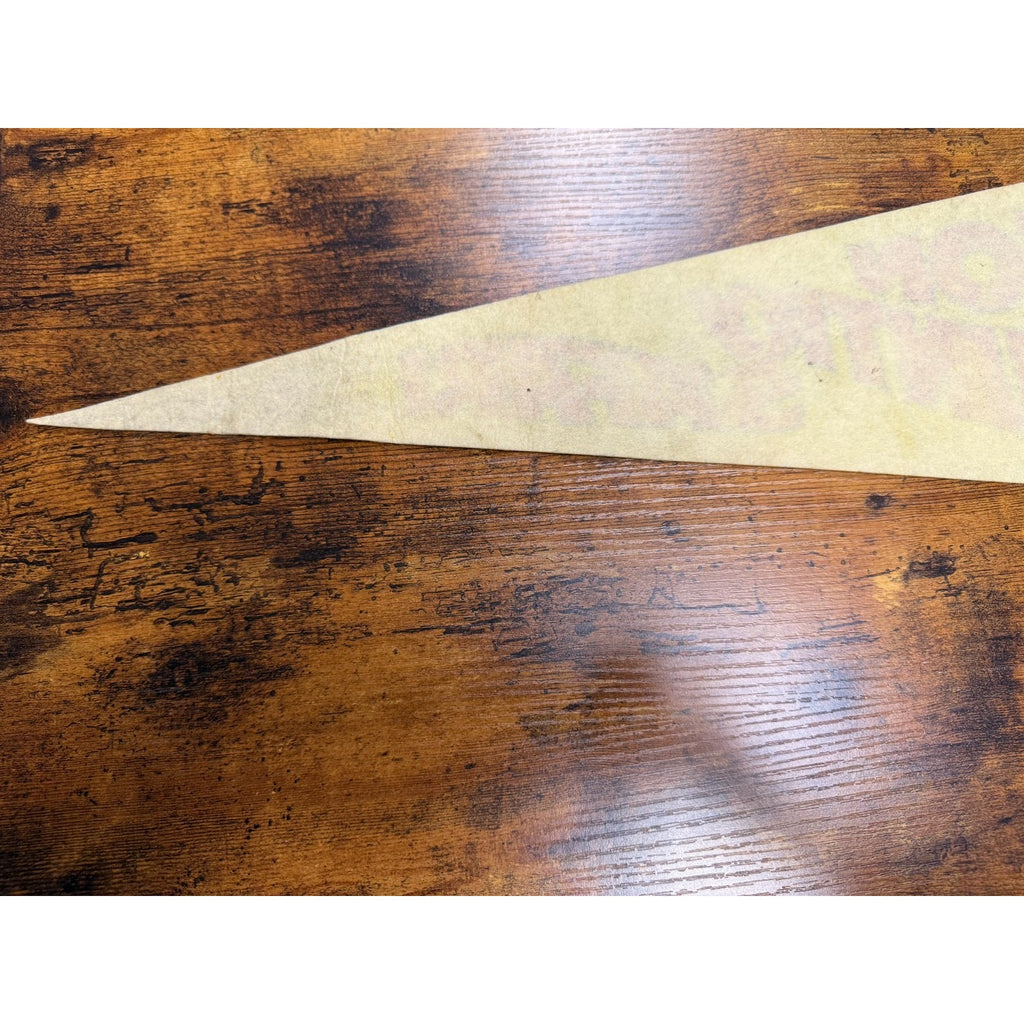 Vintage Lion Country Safari pennant Made in USA