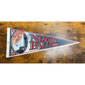 Vintage 1999 Niagara Falls, Canada Panorama of the Falls pennant