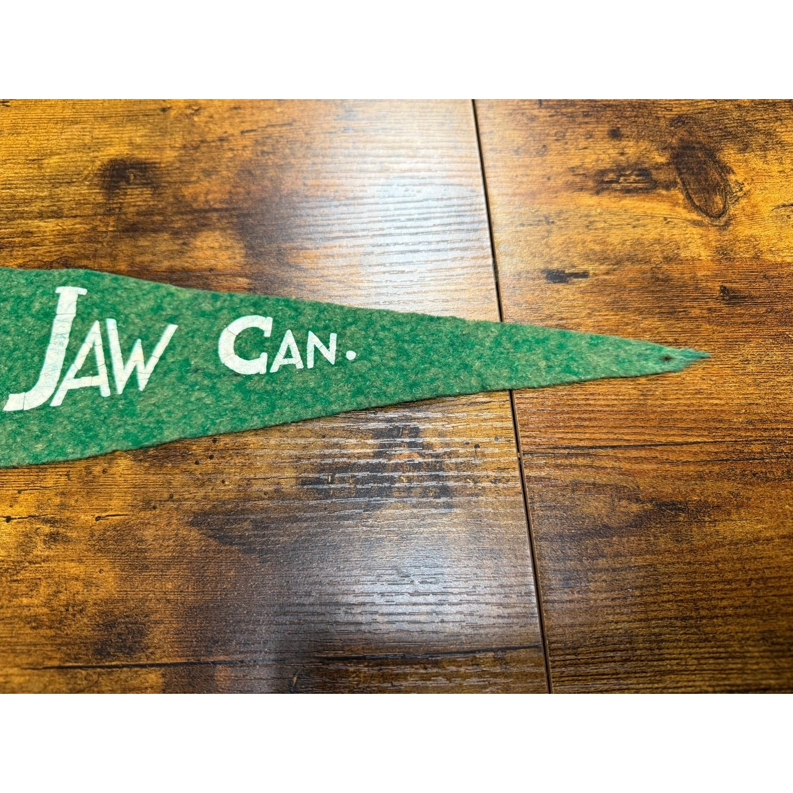 Vintage Moose Jaw Canada pennant