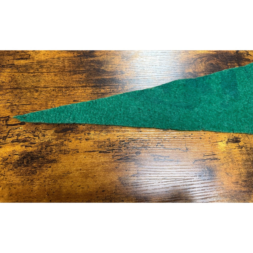 Vintage Moose Jaw Canada pennant