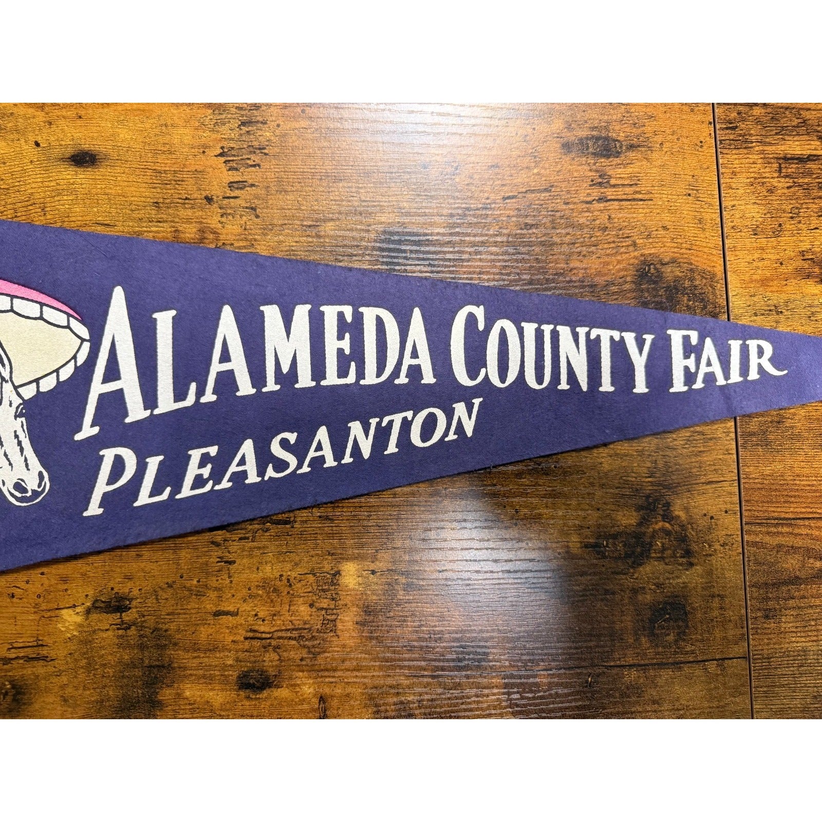 Vintage Alameda County Fair Pleasanton pennant