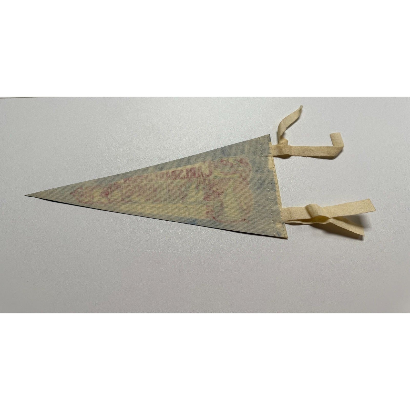 Vintage Carlsbad Caverns White's City, New Mexico pennant