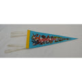 Vintage Animaland Pennsylvania's Grand Canyon pennant