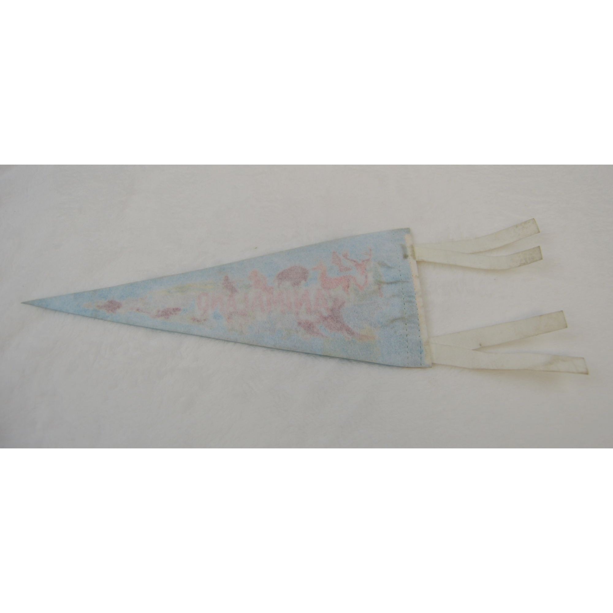 Vintage Animaland Pennsylvania's Grand Canyon pennant