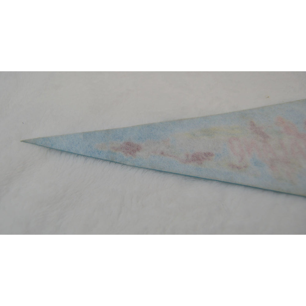 Vintage Animaland Pennsylvania's Grand Canyon pennant