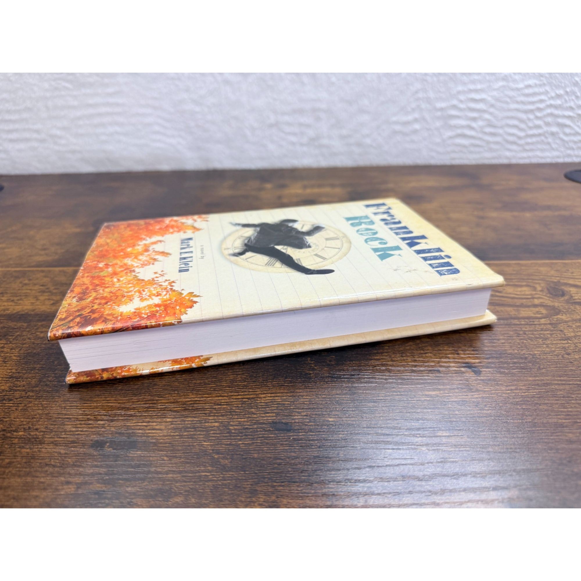 Franklin Rock By Mark E. Klein Hardcover Novel Used very good