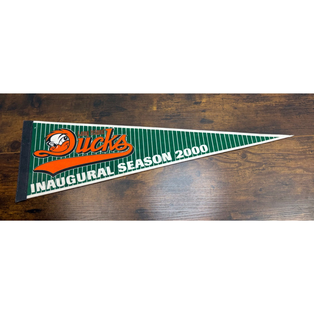 Long Island Ducks Inaugural Season 2000 Vintage Felt Pennant 26.5 inches