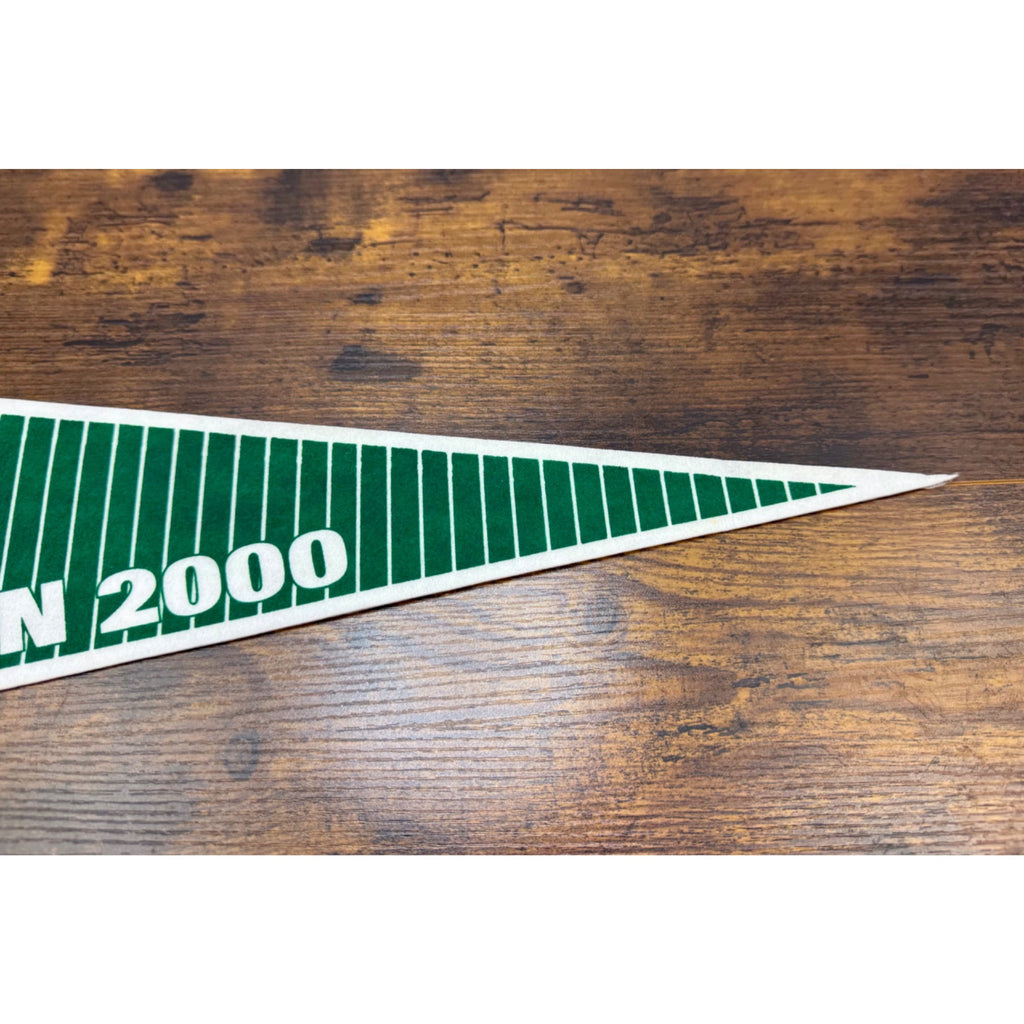 Long Island Ducks Inaugural Season 2000 Vintage Felt Pennant 26.5 inches