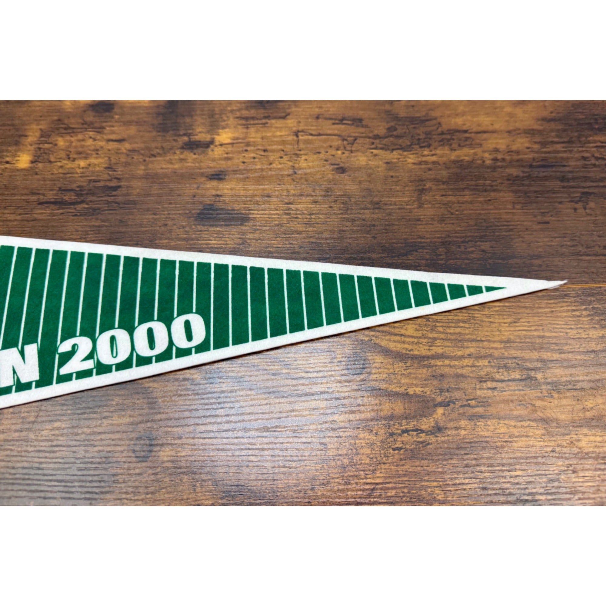 Long Island Ducks Inaugural Season 2000 Vintage Felt Pennant 26.5 inches