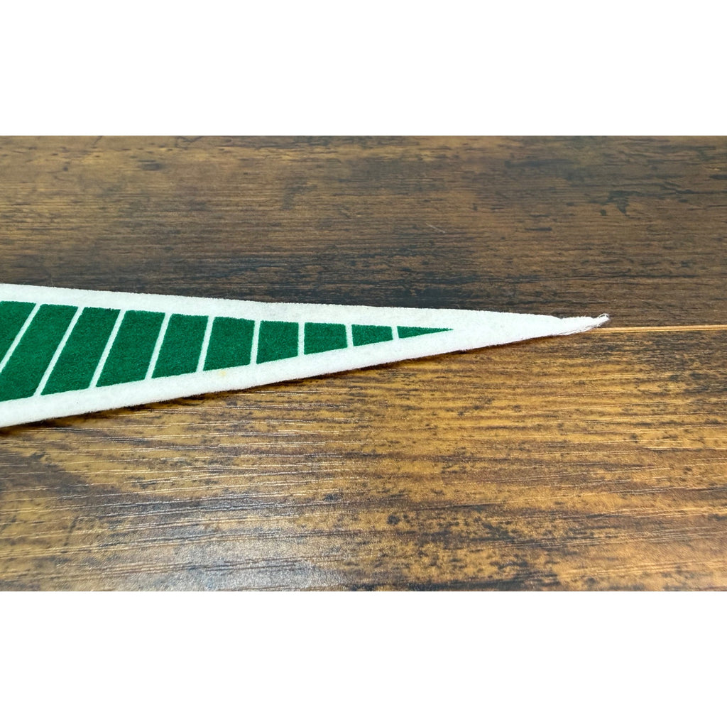 Long Island Ducks Inaugural Season 2000 Vintage Felt Pennant 26.5 inches