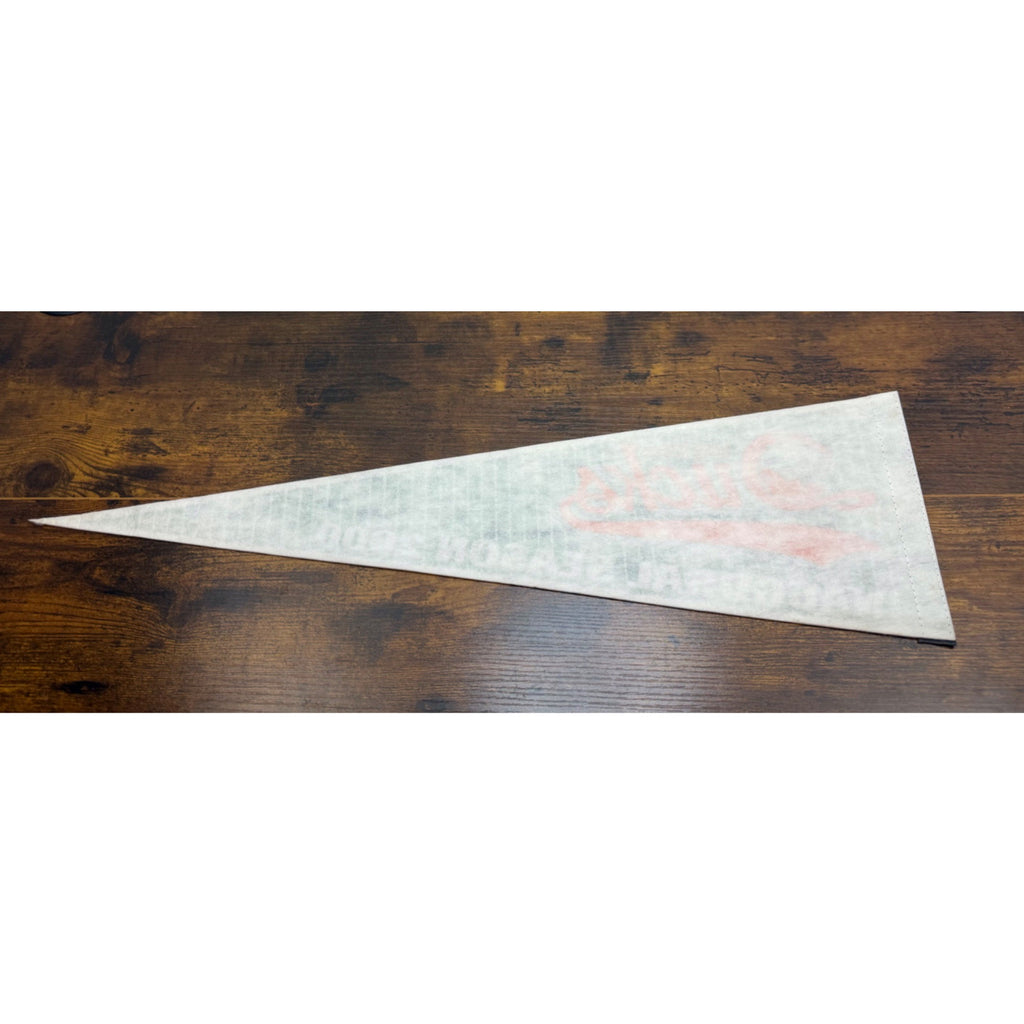 Long Island Ducks Inaugural Season 2000 Vintage Felt Pennant 26.5 inches