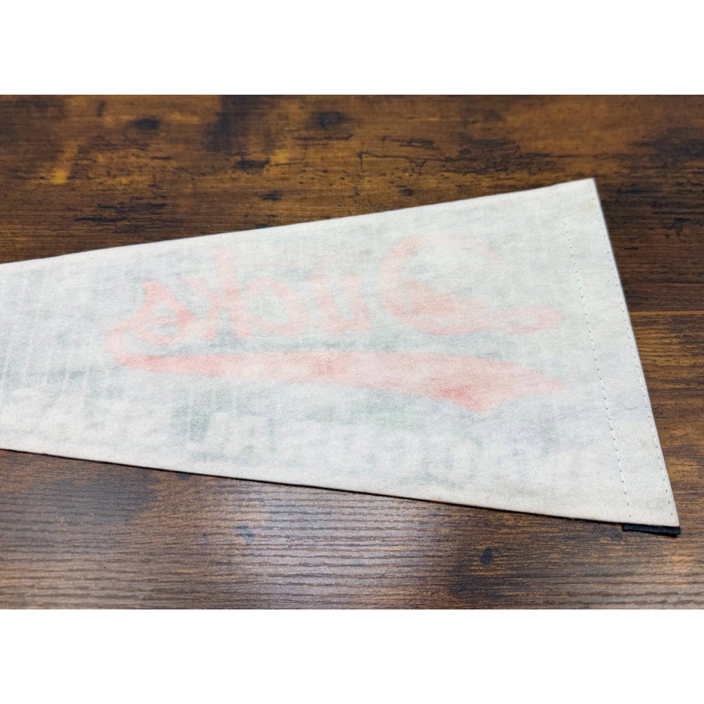 Long Island Ducks Inaugural Season 2000 Vintage Felt Pennant 26.5 inches