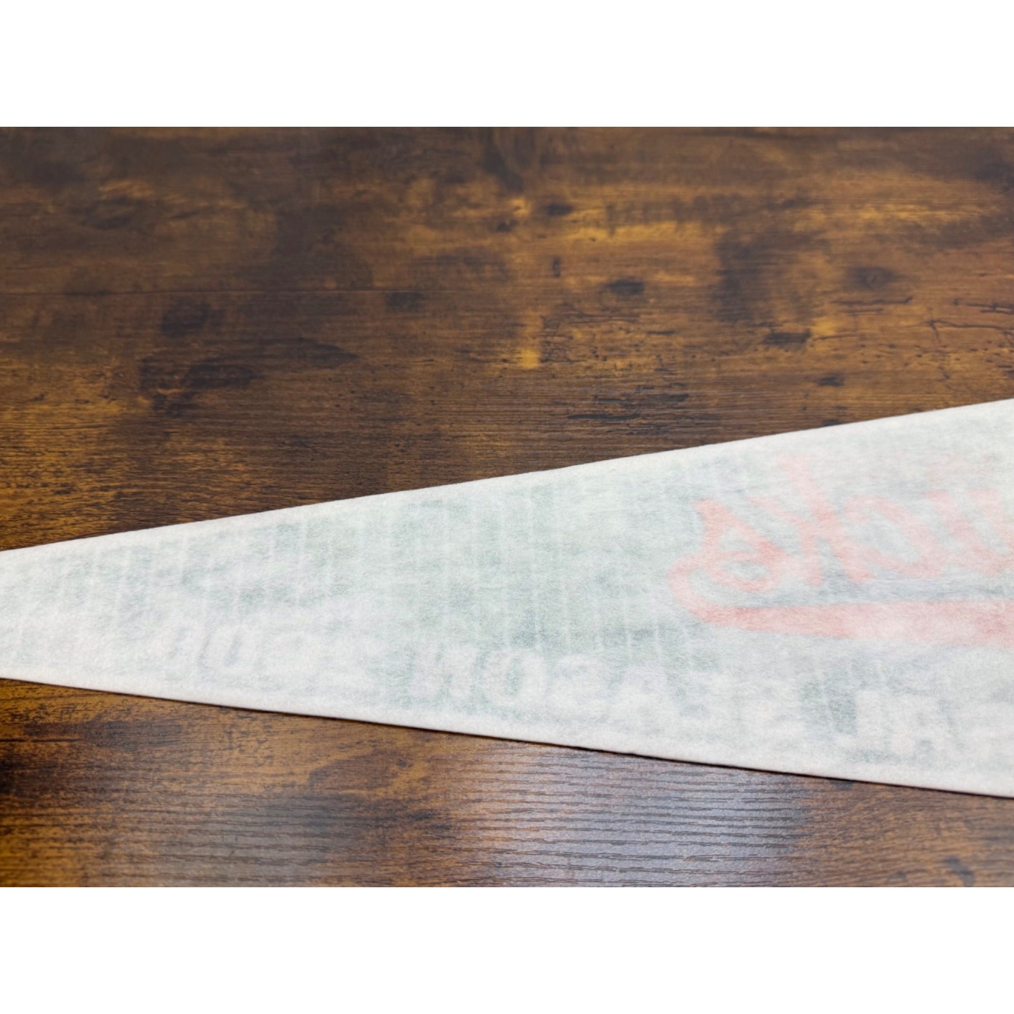 Long Island Ducks Inaugural Season 2000 Vintage Felt Pennant 26.5 inches