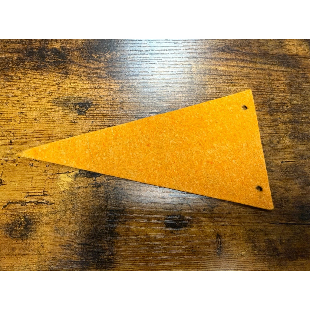 Vintage Washington, D.C. mini pennant