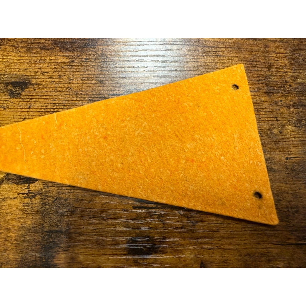 Vintage Washington, D.C. mini pennant