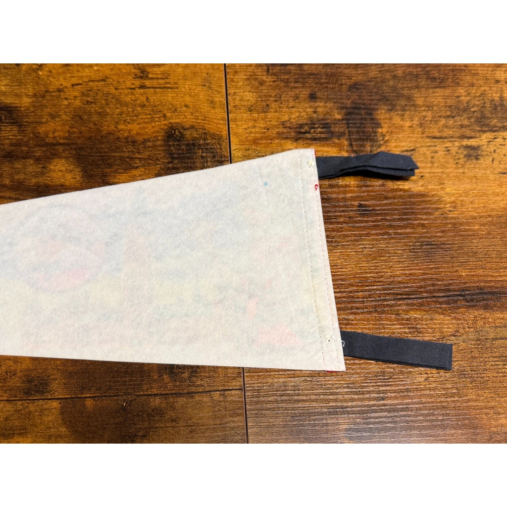 Vintage Ottawa, Canada pennant