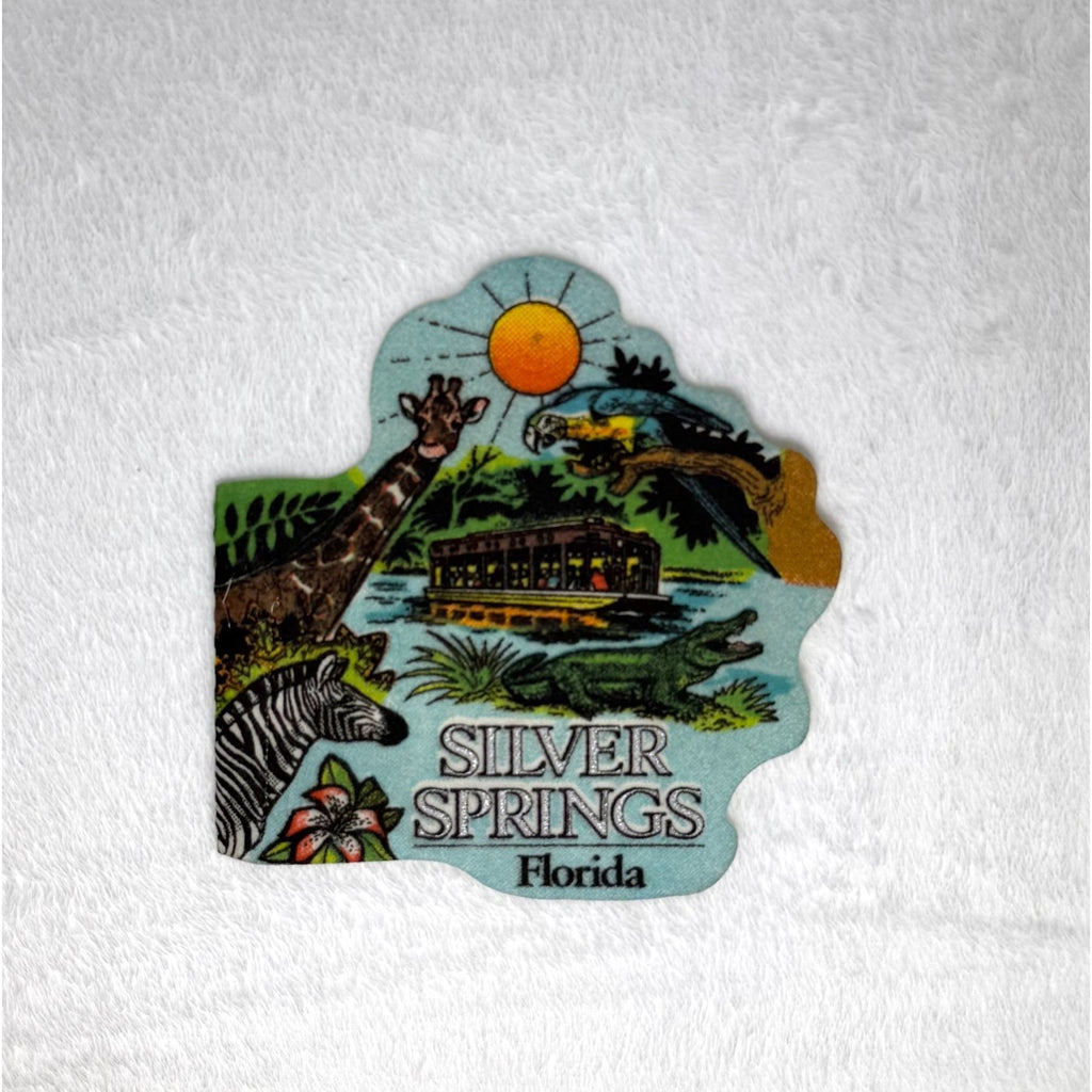 Vintage Silver Springs, Florida mini pennant