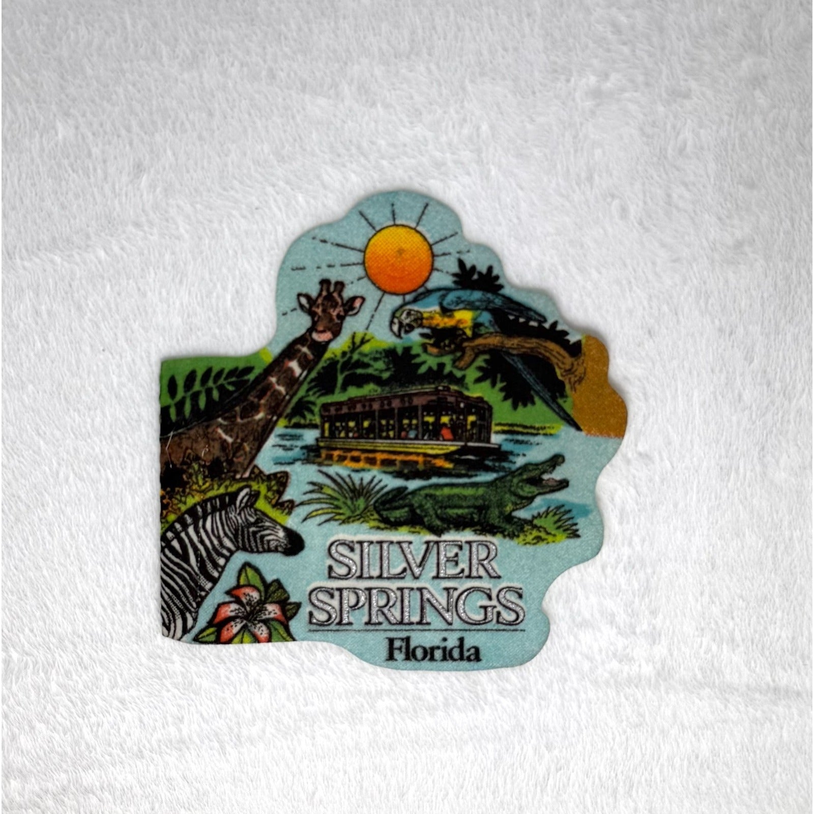 Vintage Silver Springs, Florida mini pennant