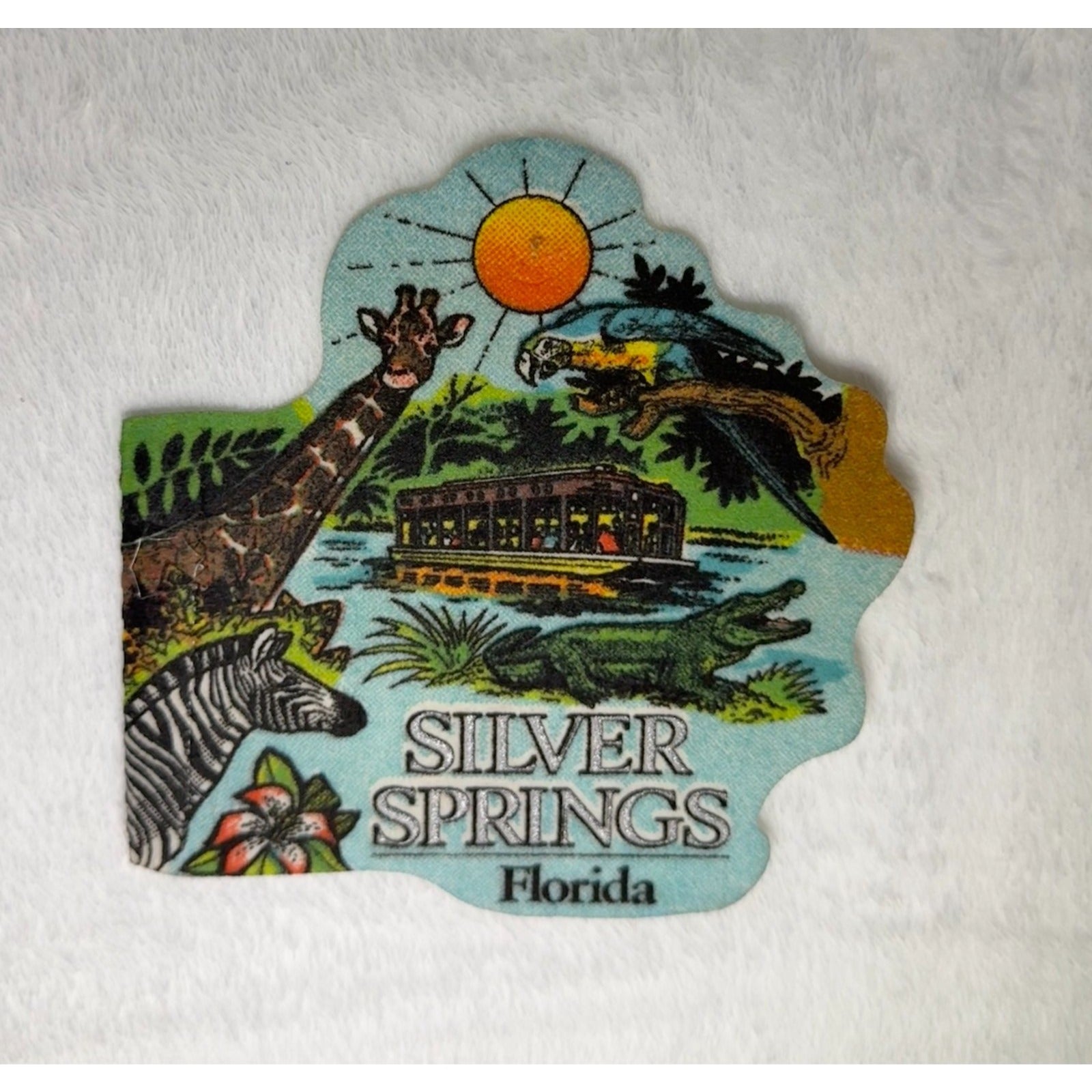Vintage Silver Springs, Florida mini pennant