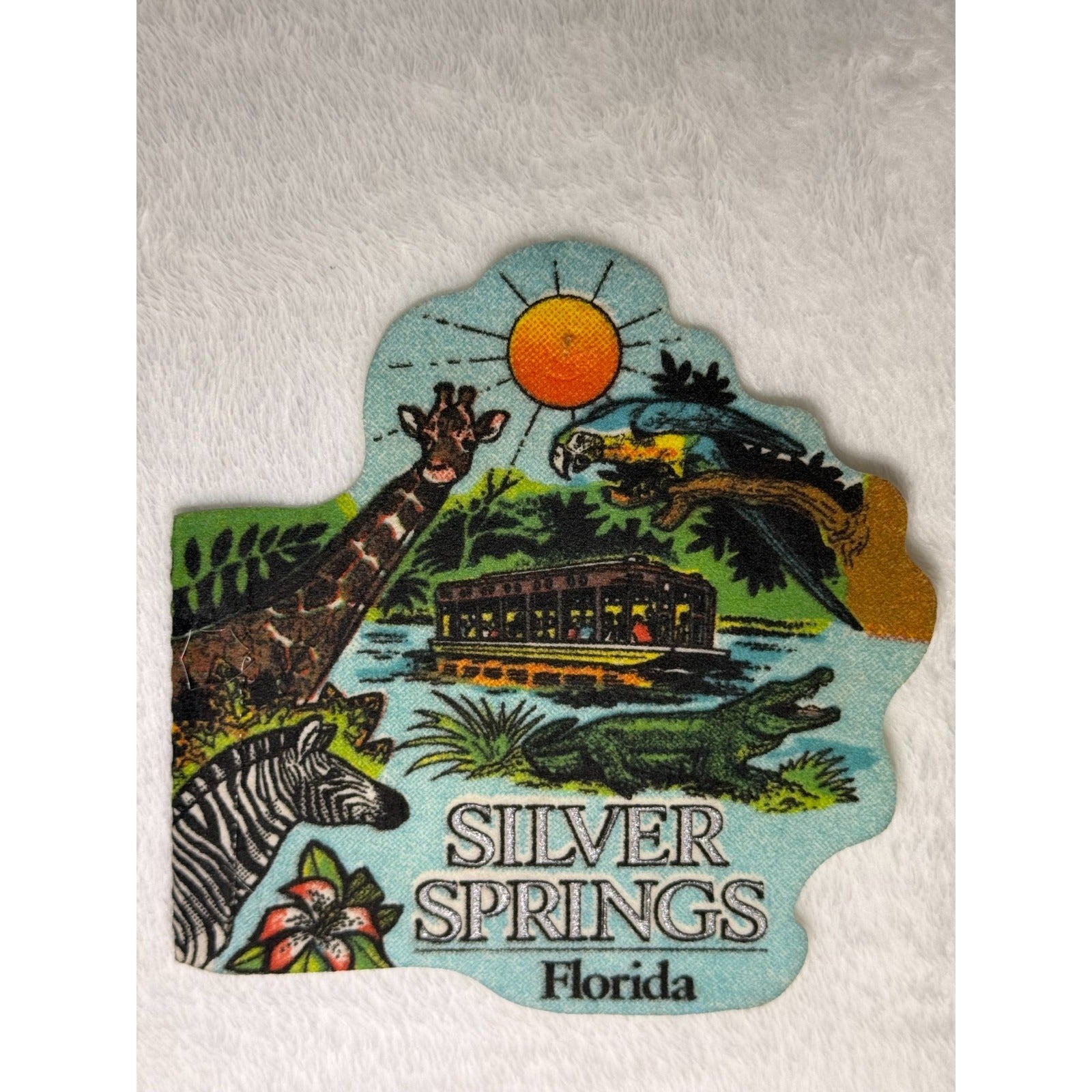 Vintage Silver Springs, Florida mini pennant