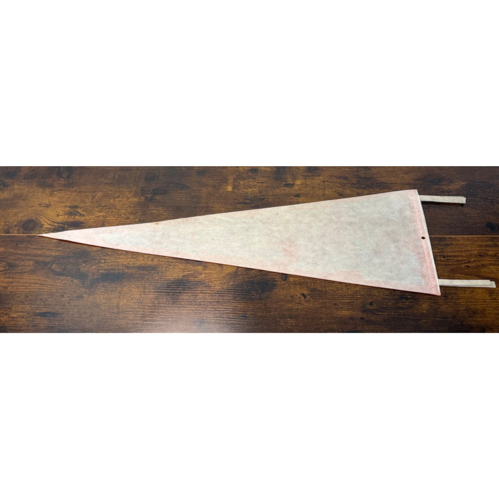 Vintage Houston Texas Souvenir Felt Pennant Landmarks & Attractions 27" Long