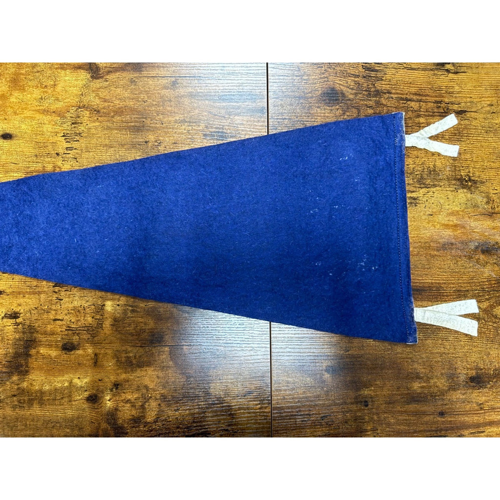 Vintage Niagara Falls Canada pennant