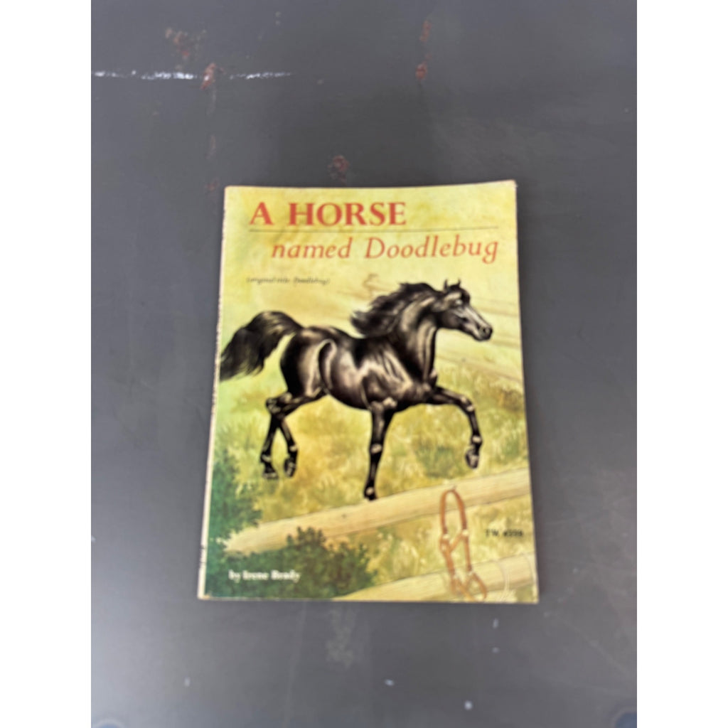 A Horse Named Doodlebug By Irene Brady Scholastic Book Services Paperback 1971