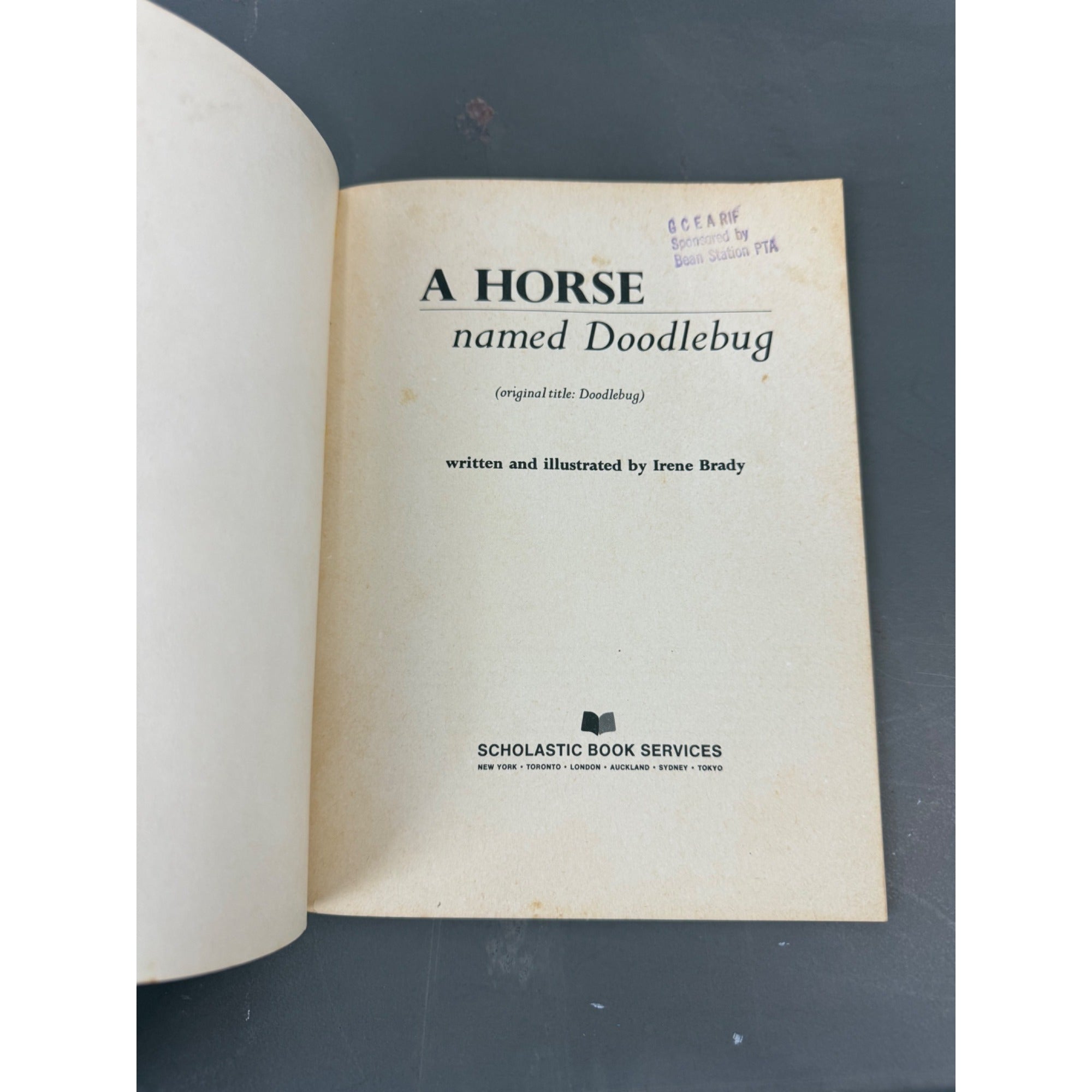 A Horse Named Doodlebug By Irene Brady Scholastic Book Services Paperback 1971