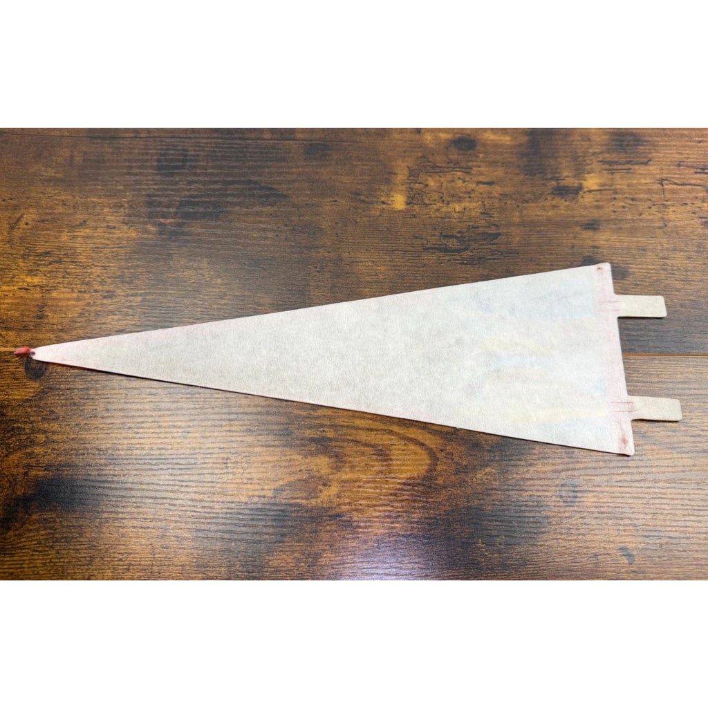 Vintage Atlantic City NJ Felt Pennant with damaged tip 14 inches