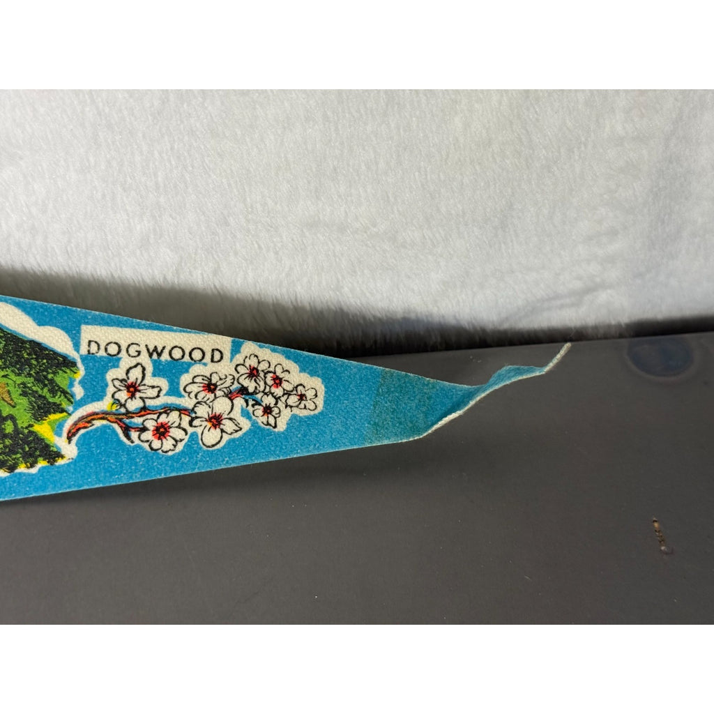 Vintage Virginia State pennant