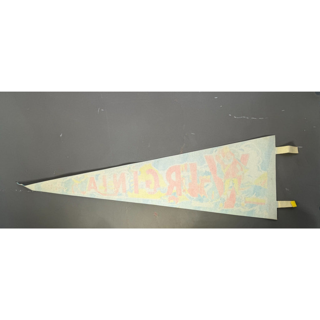 Vintage Virginia State pennant