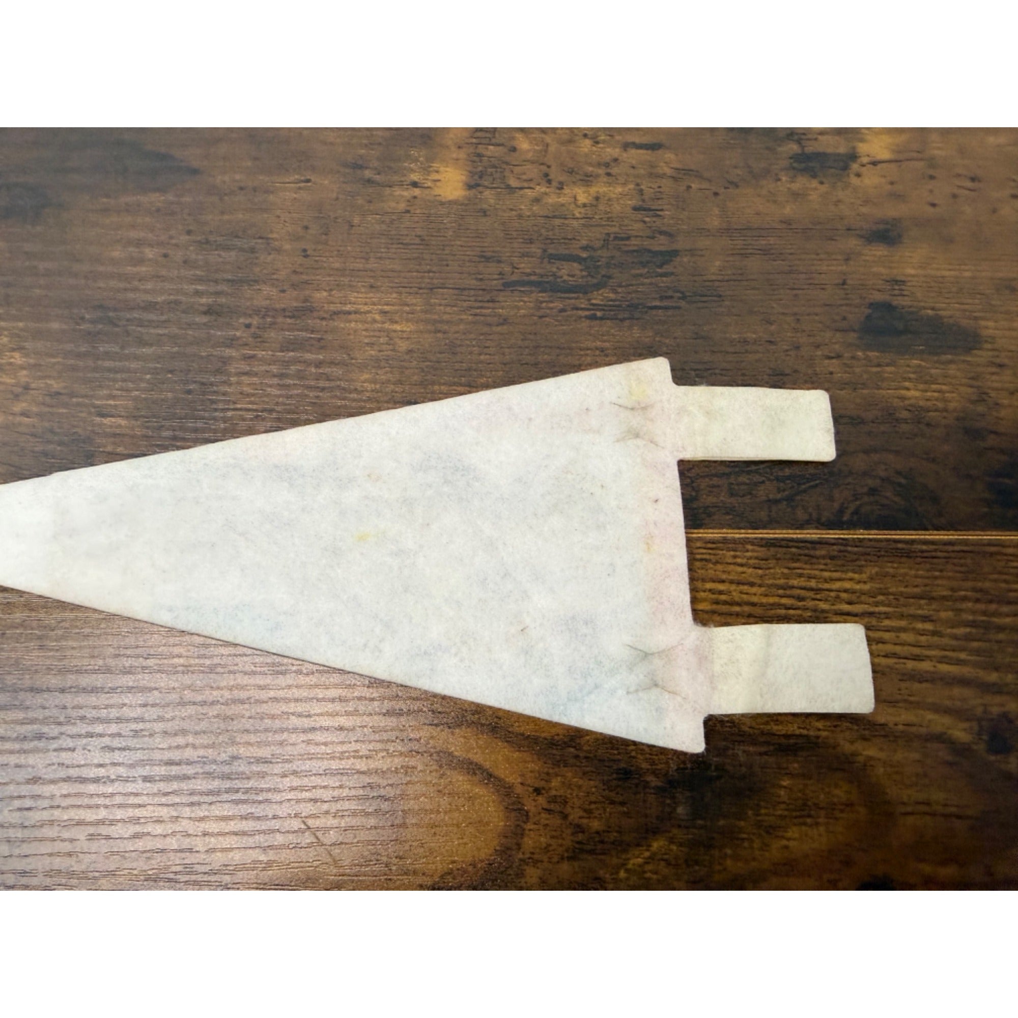 Vintage Wisconsin Badger State Felt Pennant With Muskie Graphic & Souvenir
