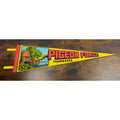 Vintage Pigeon Forge Tennessee Felt Pennant Souvenir 25 inches