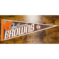 Vintage 90's NFL Cleveland Browns pennant