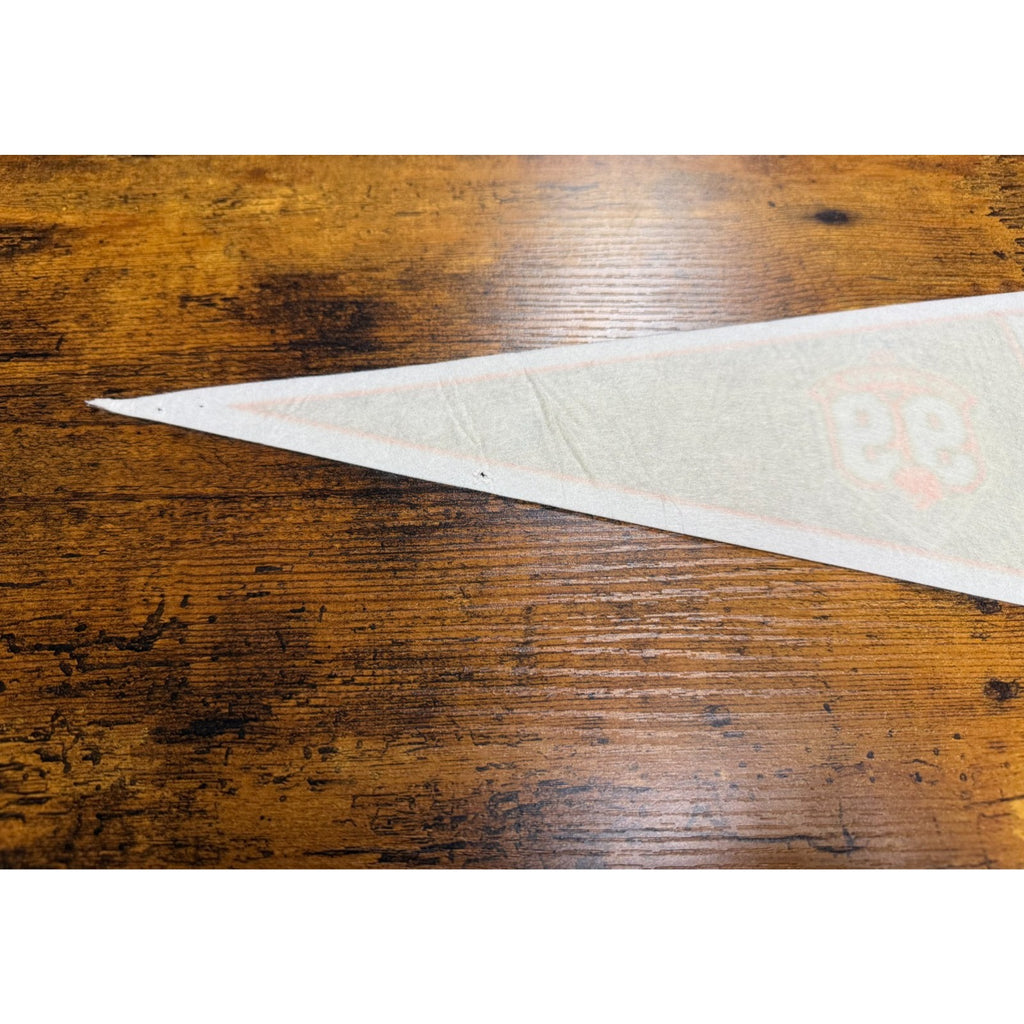 Vintage 90's NFL Cleveland Browns pennant