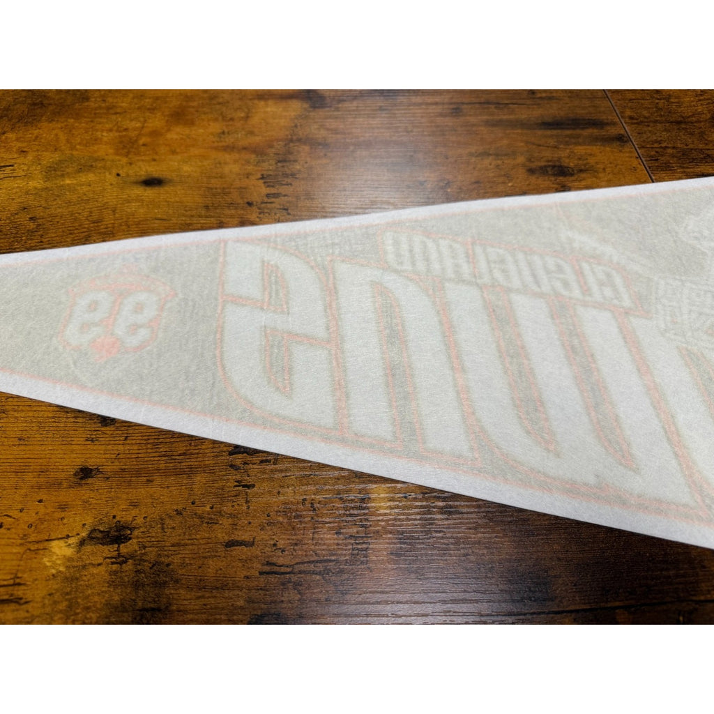 Vintage 90's NFL Cleveland Browns pennant