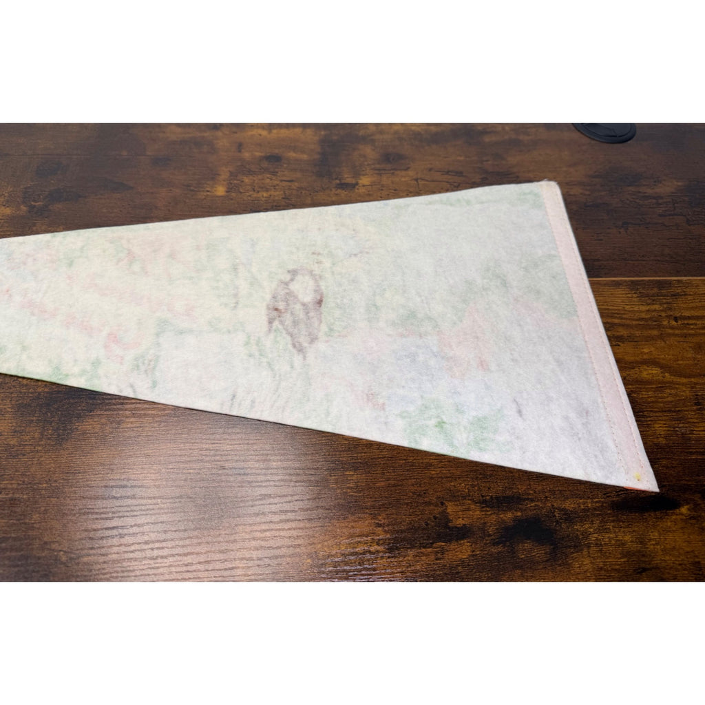 Vintage Busch Gardens Tampa Florida Souvenir Felt Pennant With Animals