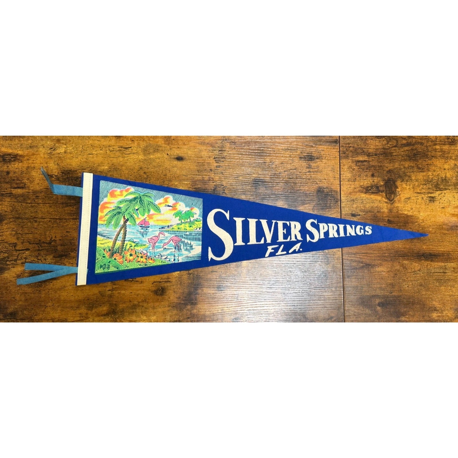 Vintage Silver Springs, Florida pennant