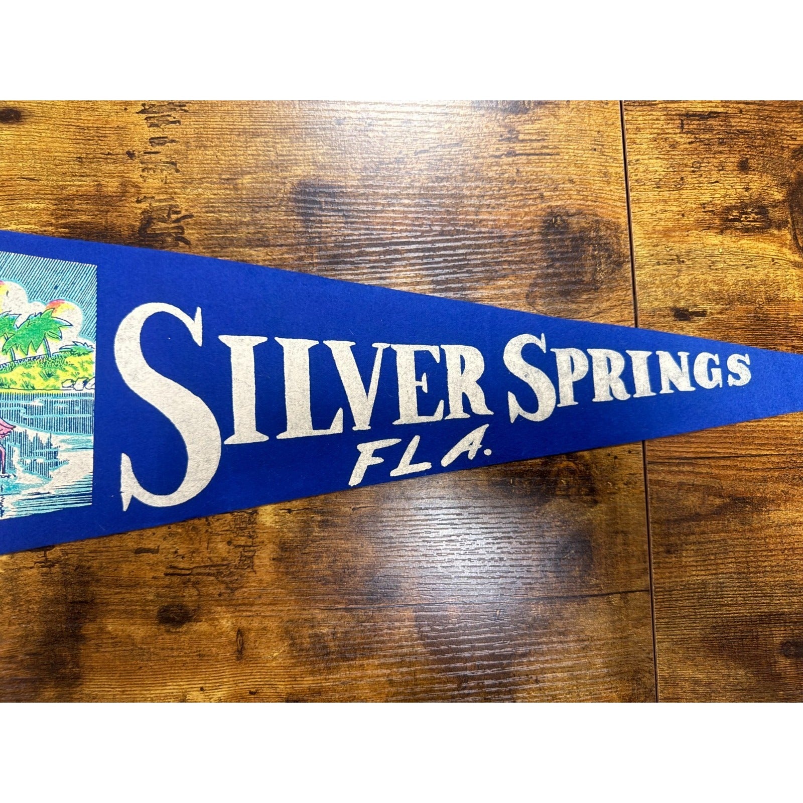 Vintage Silver Springs, Florida pennant