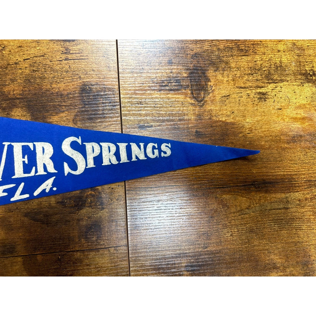 Vintage Silver Springs, Florida pennant