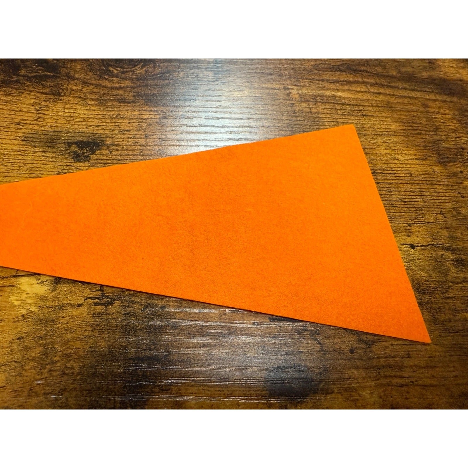 Vintage Planitarium pennant